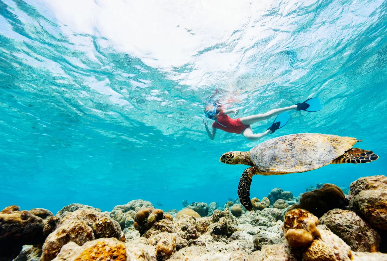 Tour 4 Islas del Rosario desde Cartagena-El mas vendido
